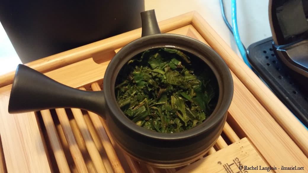 Infusion d'un sencha