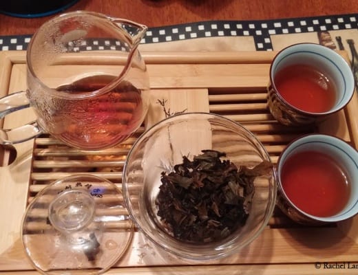 dégustation de puerh