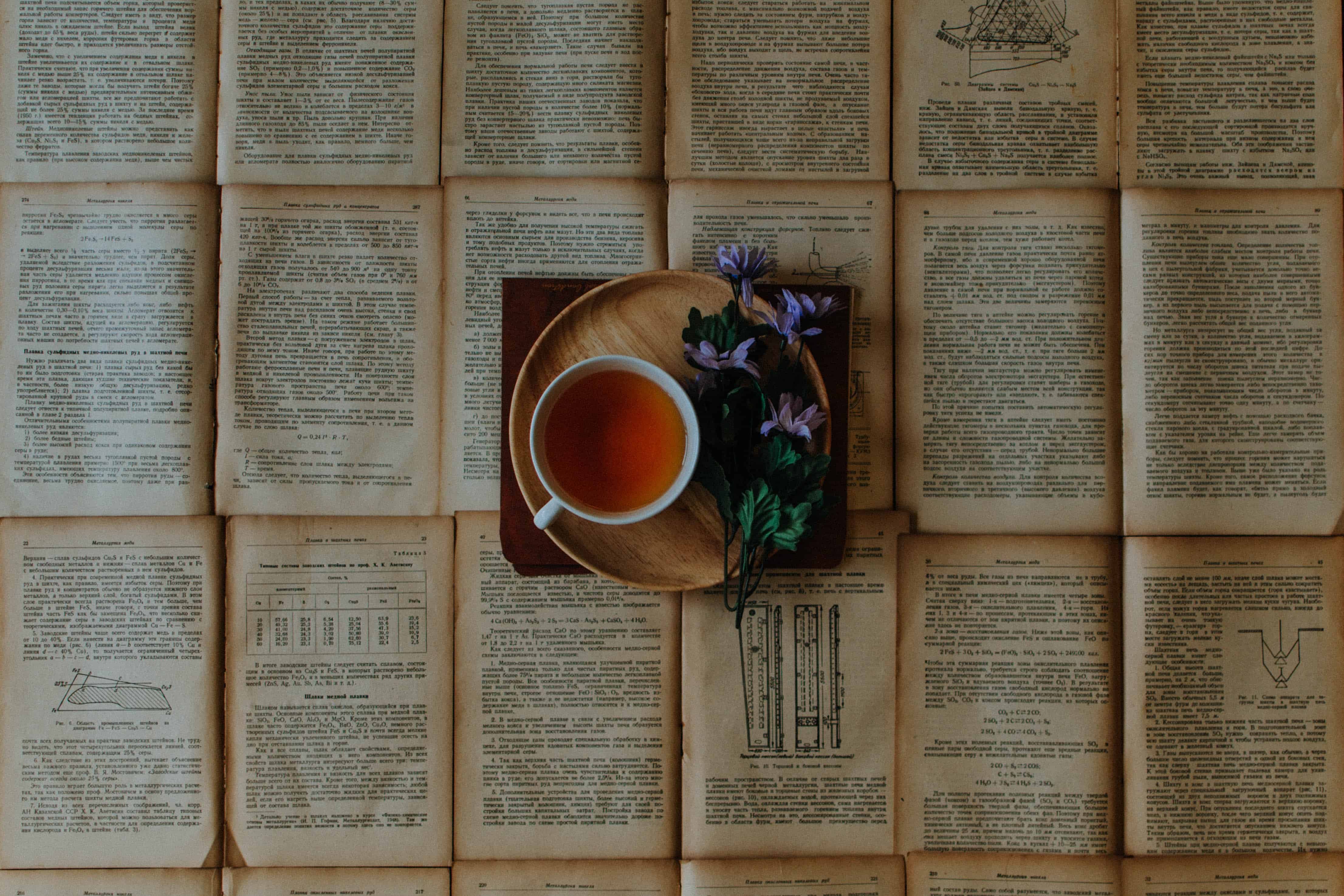 thé et livres