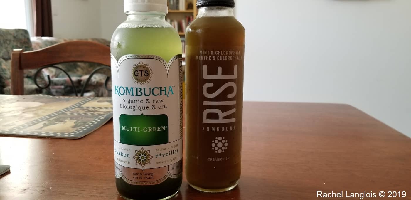 Est-ce possible de boire trop de Kombucha? - RISE